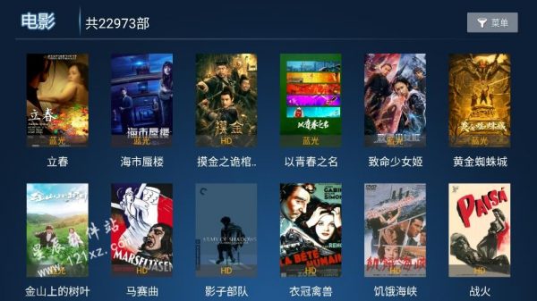 新非凡影视电视版