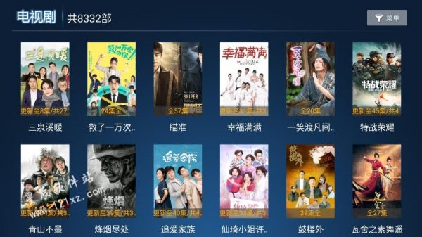 新非凡影视电视版