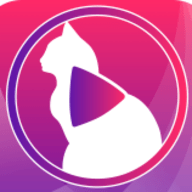 小猫直播xm88修改版