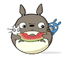 龙猫追剧app官方版