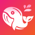 巨鲸直播app修改版