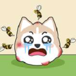 挑战烧脑修改版