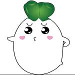 SQ识图绿色版